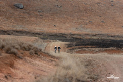 GranFondo-152