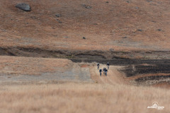 GranFondo-155
