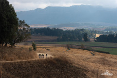 GranFondo-98
