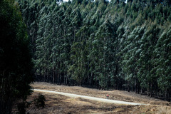 UnderbergGranFondo2023-208