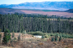 UnderbergGranFondo2023-210