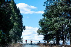UnderbergGranFondo2023-263