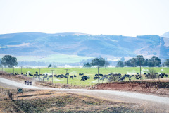 UnderbergGranFondo2023-76