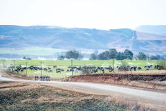 UnderbergGranFondo2023-77